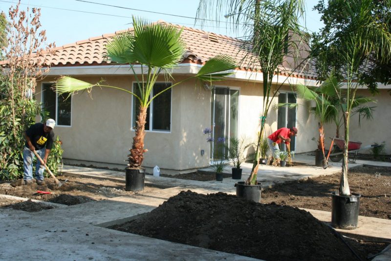 landscaping-IMG_3309.jpg-scaled