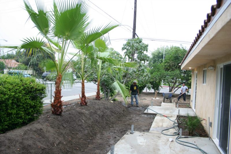 landscaping-IMG_3392.jpg-scaled