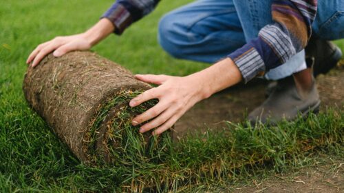 Side view of unrecognizable male farmer laying grass turf roll on ground while working on agricultural plantation on blurred background